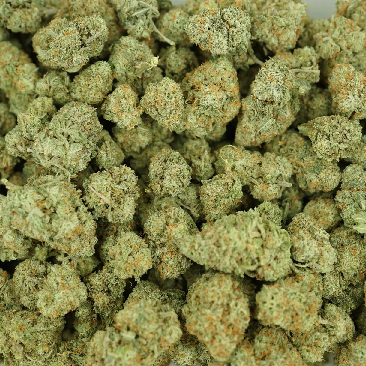 28gr - SUPER SILVER HAZE (SMALLS) - SATIVA - (AAA) - Image 3