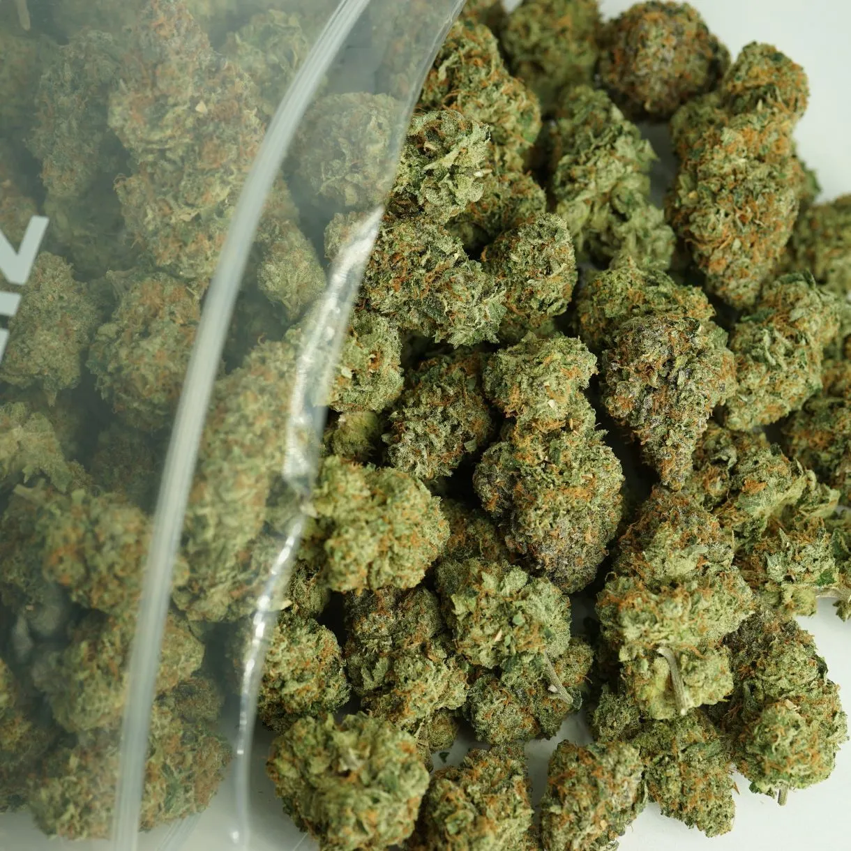 1/2p - BANDZ (BULK) - BALANCED HYBRID - (AAAA)