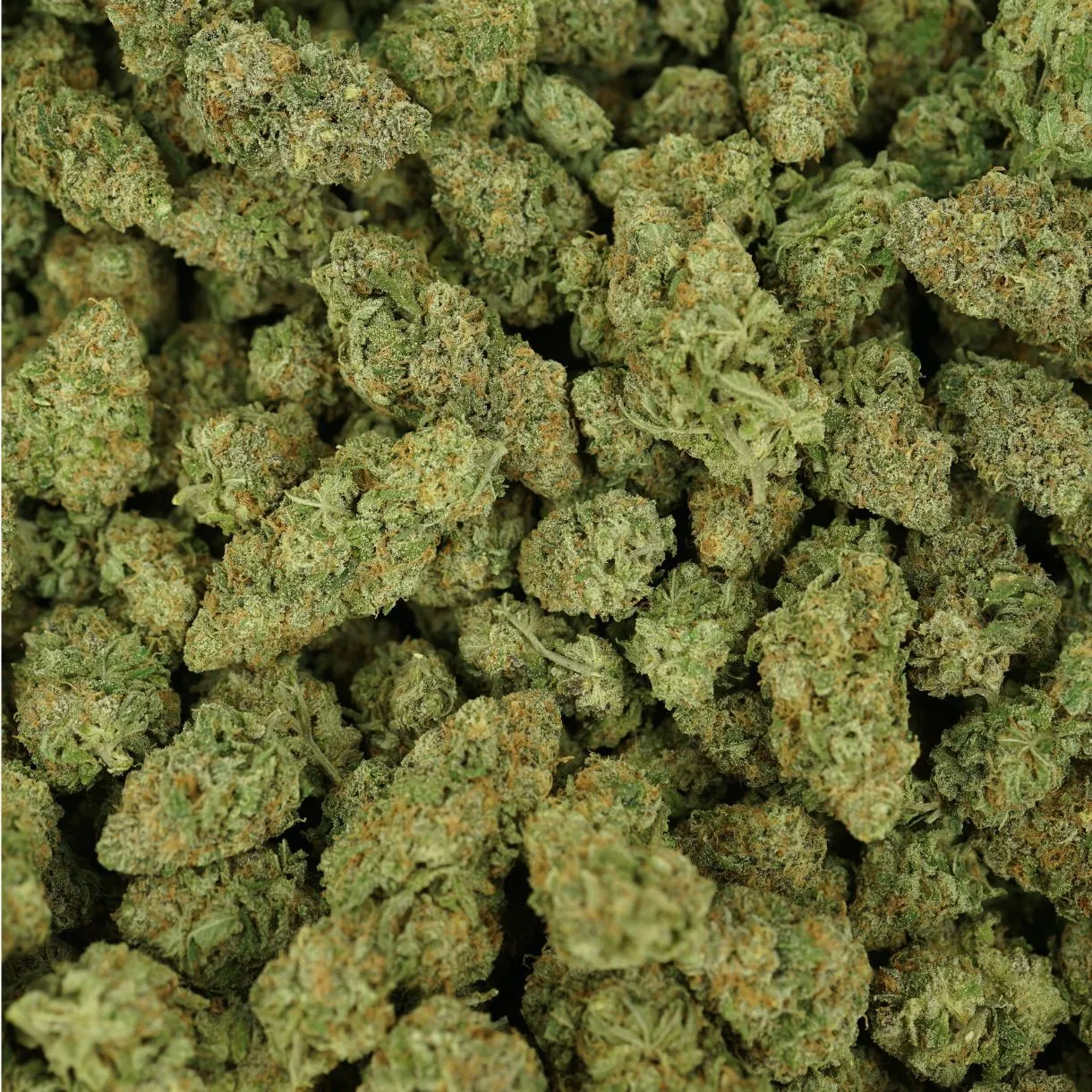 28gr - LOL (SMALLS) - SATIVA - (AAA) - Image 3
