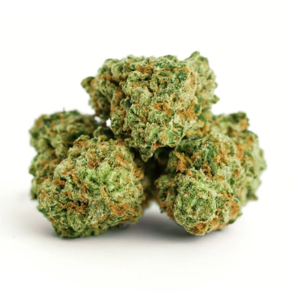 cannabis buds on a crisp white background, showcasing vibrant green hues, orange pistils, and detailed trichomes with natural lighting and soft shadows.