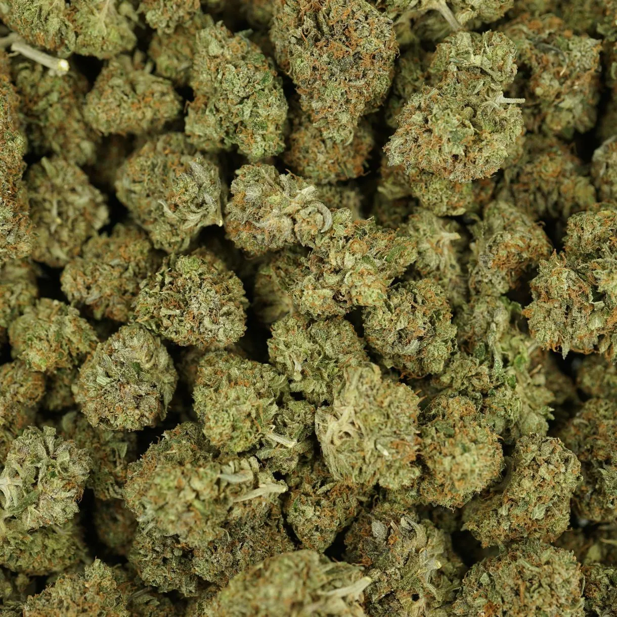 28gr - PINK BERRY - INDICA - (AAA) - Image 3