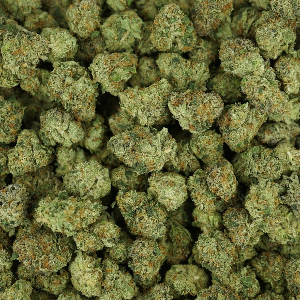 28gr - STAY PUFFED (SMALLS) - INDICA - (AAAA) - Image 3