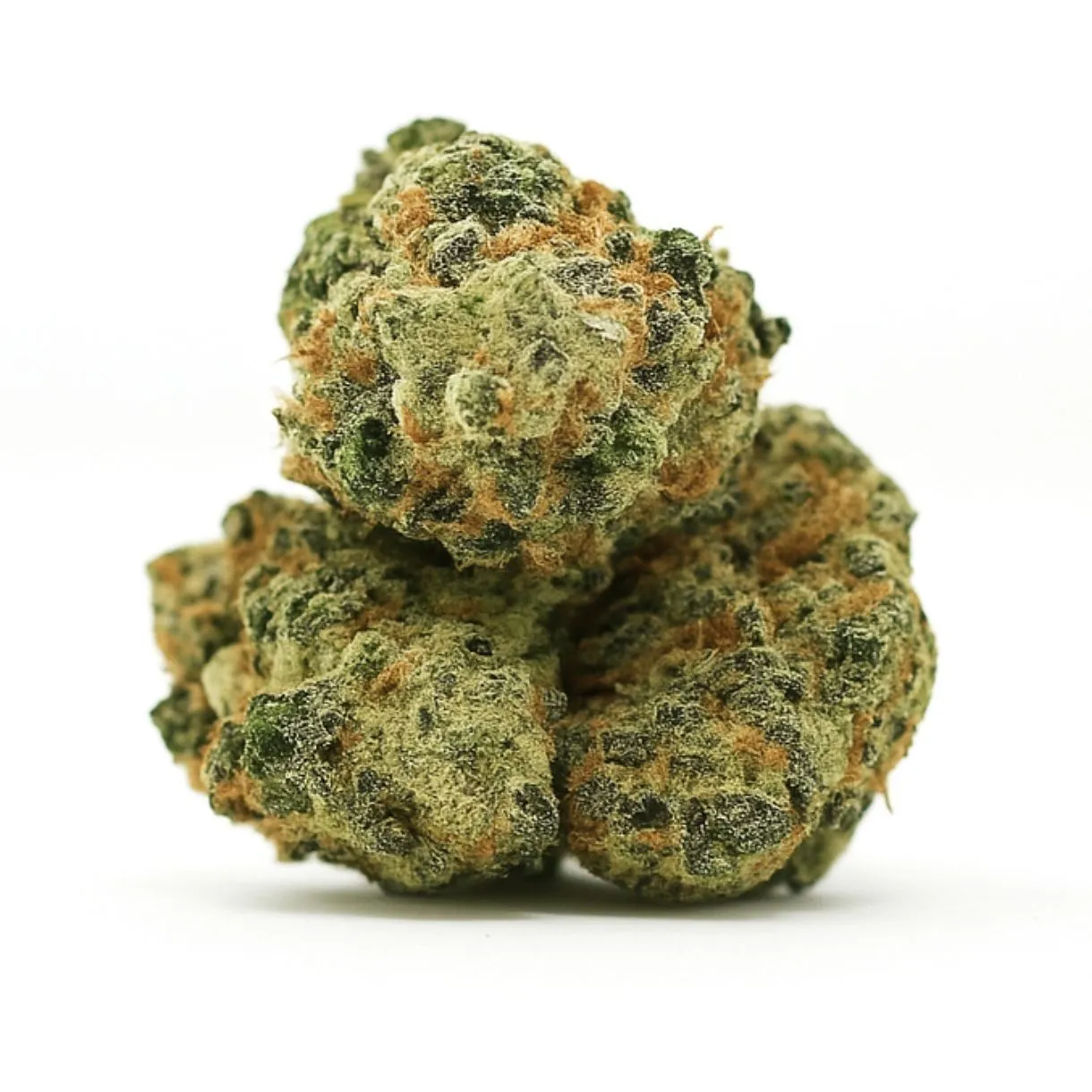 cannabis bud on a crisp white background, showcasing dense trichome coverage, vibrant green tones, and orange pistils with balanced lighting and natural depth.