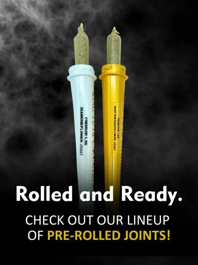 Banner with smoke background featuring two pre-rolled joints in branded tubes, with the text ‘Rolled and Ready. Check out our lineup of pre-rolled joints!’