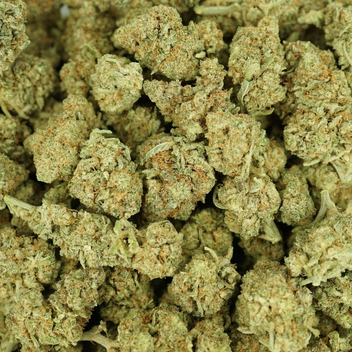 28gr - MAC DONUTS - BALANCED HYBRID - (AAA) - Image 3