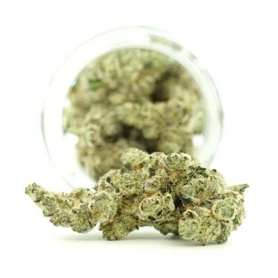 Close-up of frosty cannabis buds spilling from a glass jar on a white background, showcasing dense trichomes and crystal-covered texture