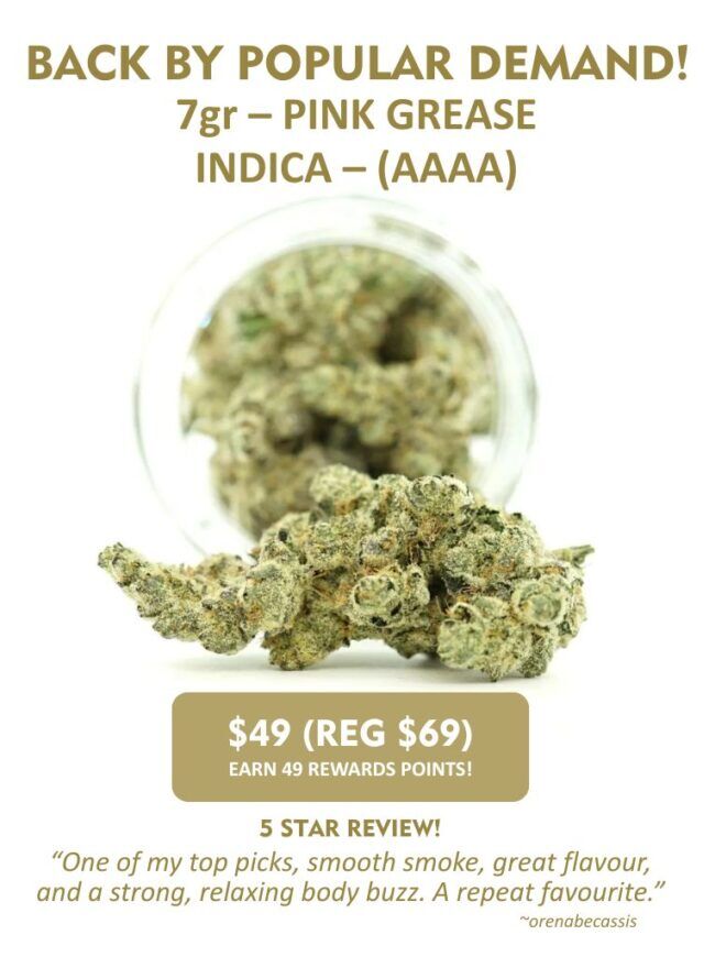 Promotional graphic for 7g Pink Grease (Indica, AAAA) featuring cannabis buds in front of a glass jar, a “Top Shelf” banner, sale price of $49 (regular $69), rewards points info, and a customer review highlighting smooth smoke, great flavour, and a strong relaxing body buzz.