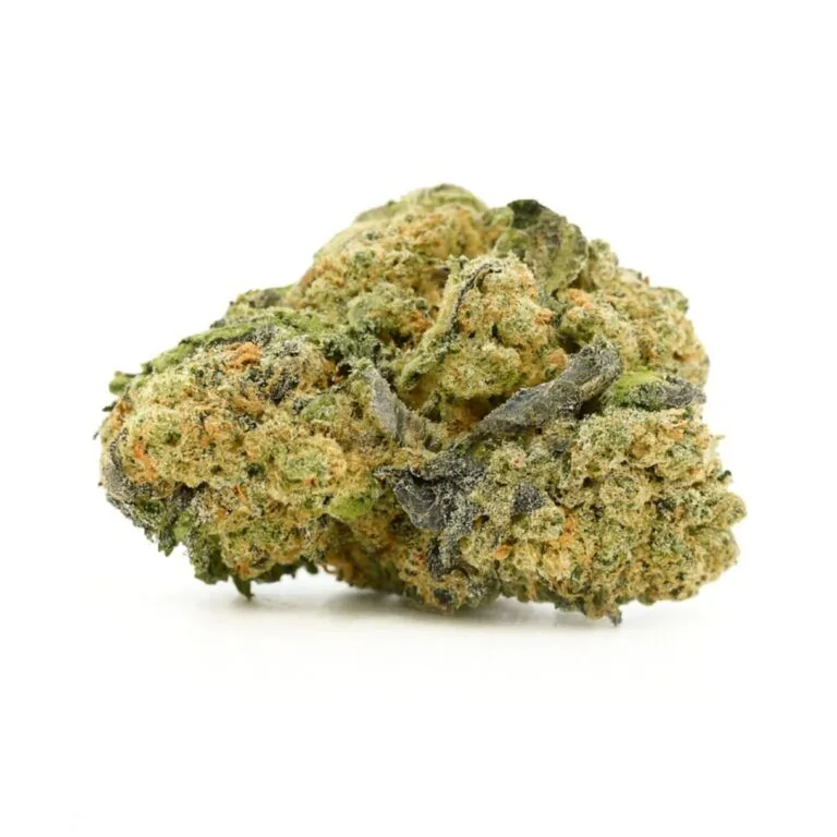 High-resolution cannabis flower on a crisp white background, featuring detailed trichomes, orange pistils, and natural green and purple tones with balanced lighting.
