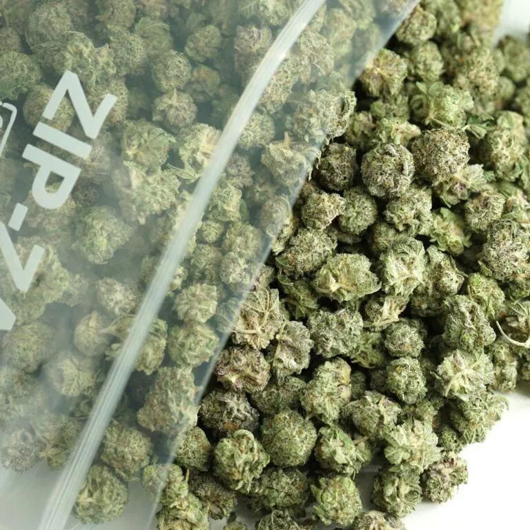 Close-up image of cannabis buds spilling out of a clear ZIP-ZAG plastic bag onto a white surface, showing dense green nugs with visible trichomes and orange hairs.