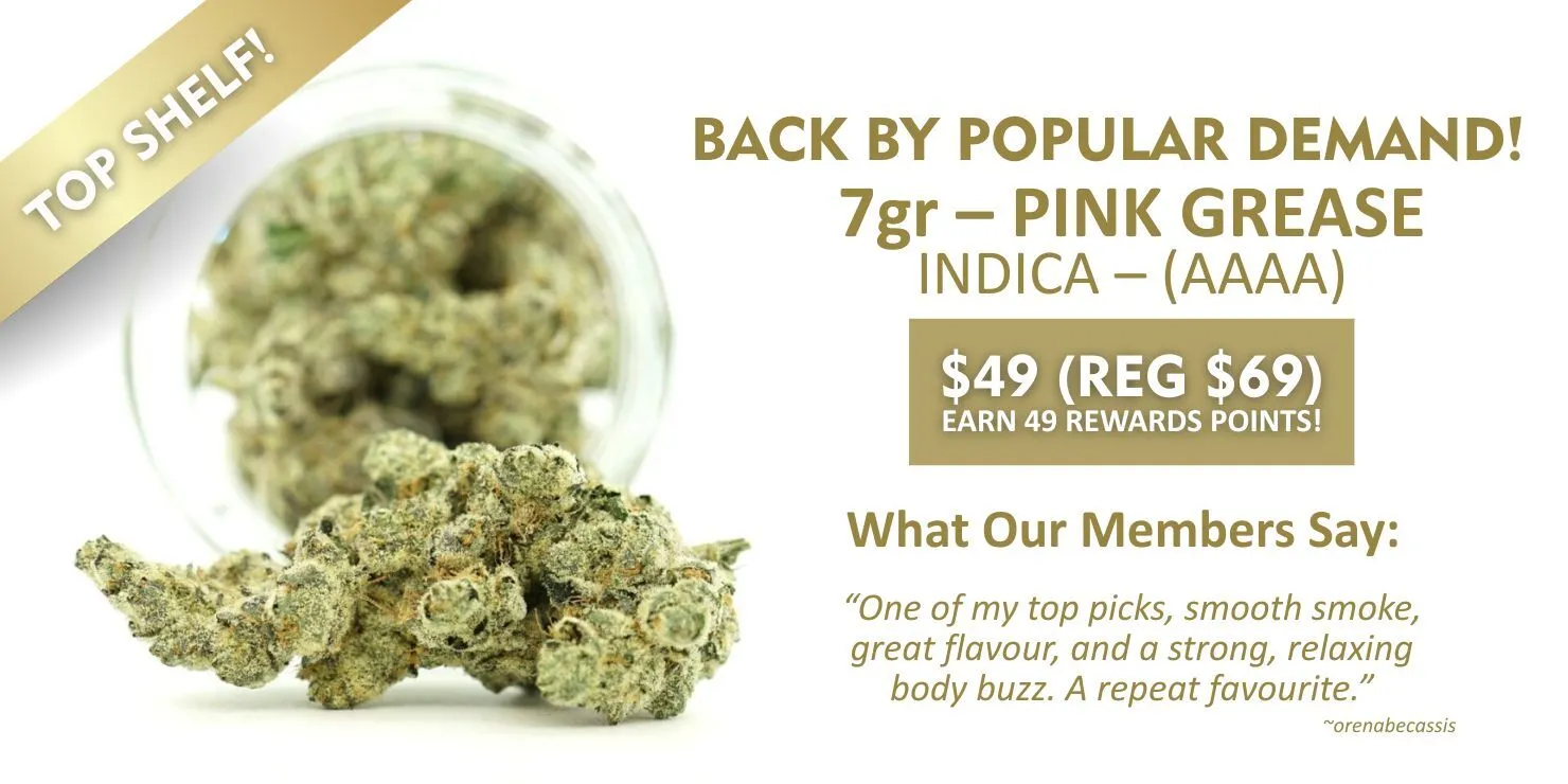 Promotional graphic for 7g Pink Grease (Indica, AAAA) featuring cannabis buds in front of a glass jar, a “Top Shelf” banner, sale price of $49 (regular $69), rewards points info, and a customer review highlighting smooth smoke, great flavour, and a strong relaxing body buzz.