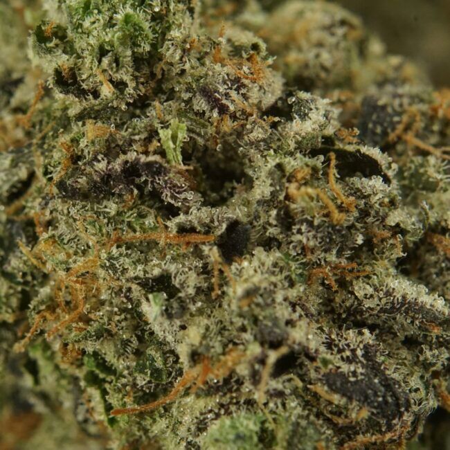 Indica Flower AAA