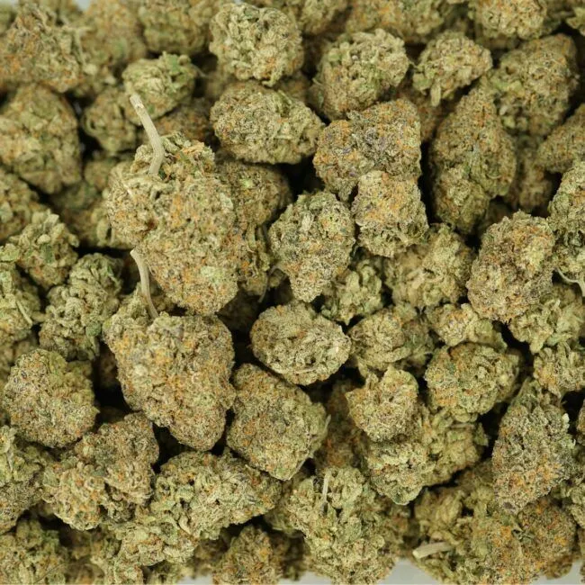 28gr - KRAKEN - INDICA - (AAA) - Image 3