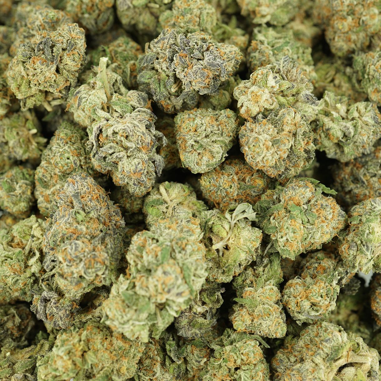 28gr - OREOZ - INDICA - (AAA) - Image 3