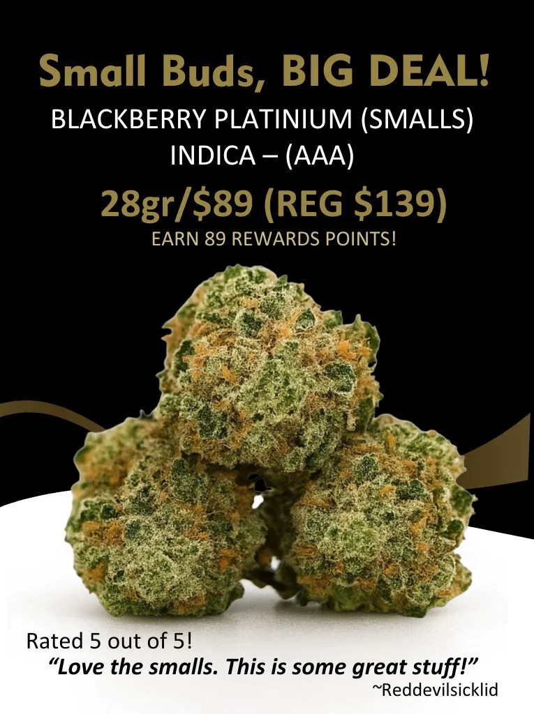 Promotional banner featuring close-up cannabis buds for Blackberry Platinium (Smalls) AAA Indica, highlighting the deal “28g for $89 (regular $139)” with the headline “Small Buds, Big Deal,” customer 5-star review, and rewards points offer.