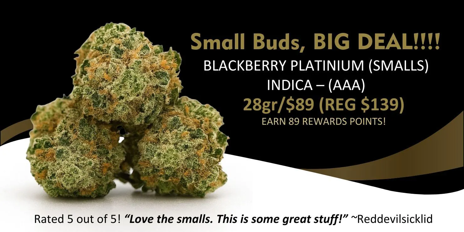 Promotional banner featuring close-up cannabis buds for Blackberry Platinium (Smalls) AAA Indica, highlighting the deal “28g for $89 (regular $139)” with the headline “Small Buds, Big Deal,” customer 5-star review, and rewards points offer.