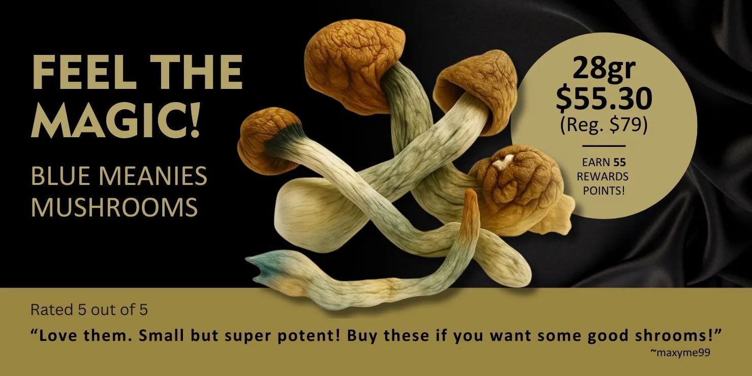 Promotional banner for Blue Meanies mushrooms with the headline “Feel the Magic,” featuring a cluster of dried mushrooms, pricing of 28g for $55.30 (regular $79), 55 rewards points, and a 5-star customer review praising their potency.