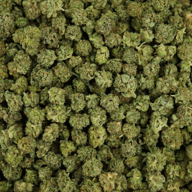 AAA Pink Gas