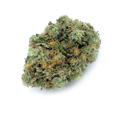 Pink Kush Bliss