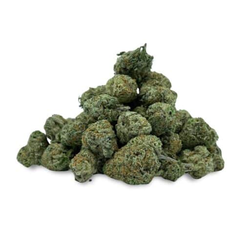 Platinum GSC Smalls