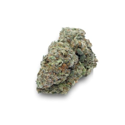 Orange Crush Sativa