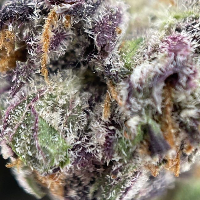 Space Cookies Relax