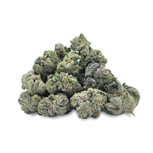Mystery 1G Freebie