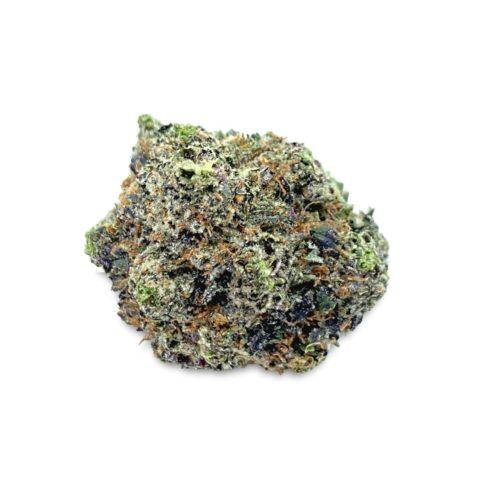 Black Cherry Indica