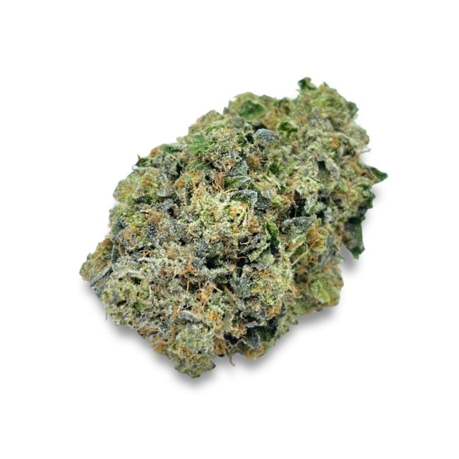 Tar Monster Indica