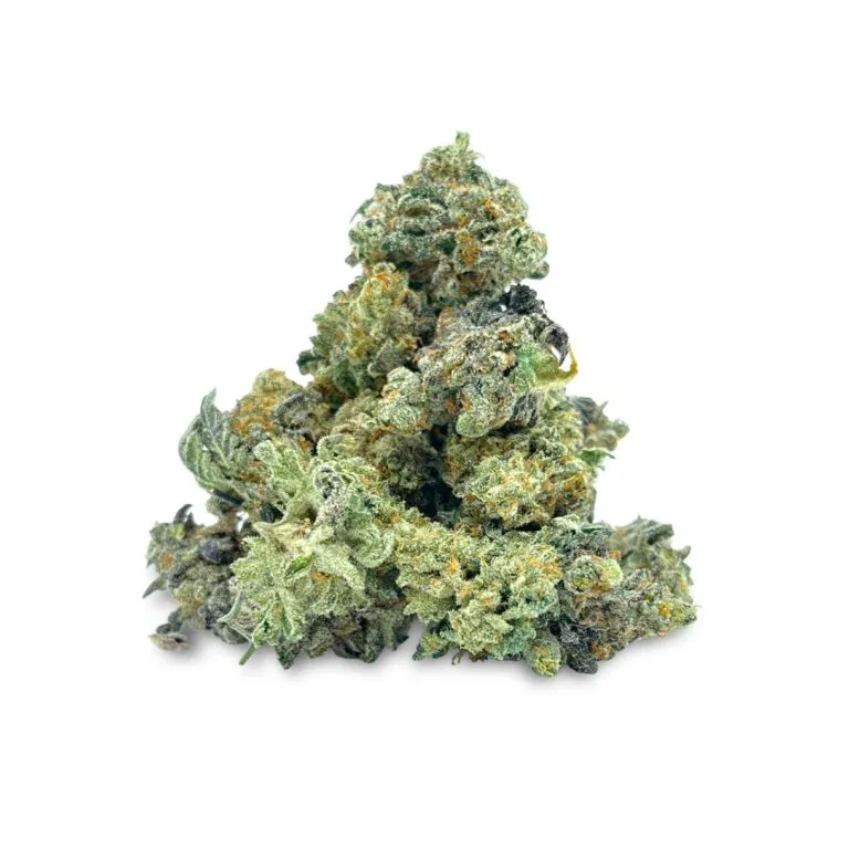 FROS GEL SM 1