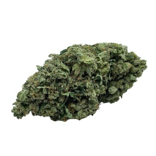 Pinkman Goo Indica