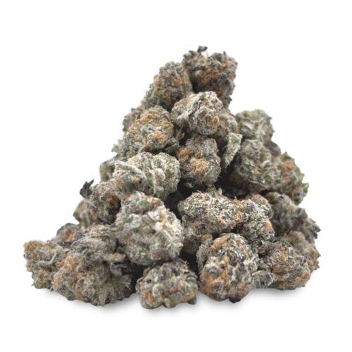 Texada Sativa