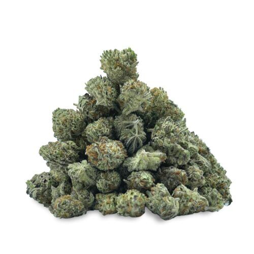 MAC1 Mimosa Smalls