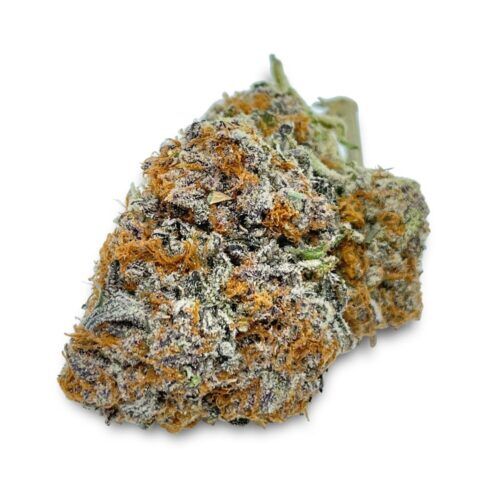 Space Indica Flower