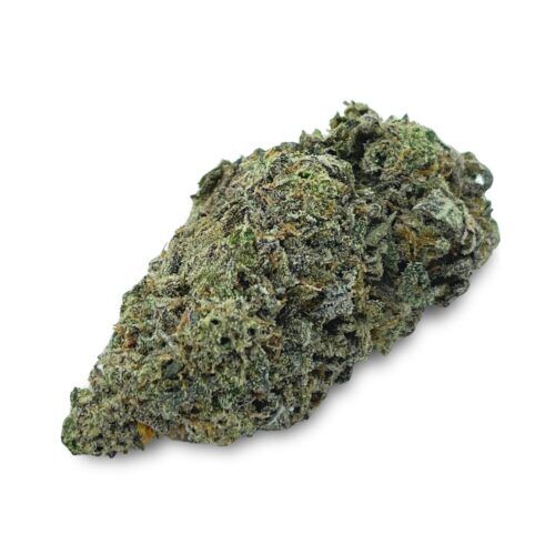 Orange Crush Sativa