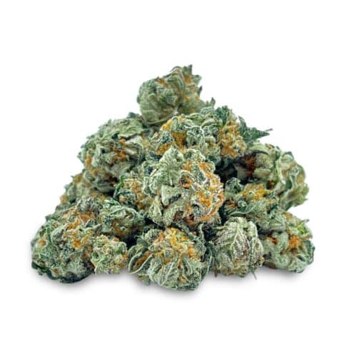 Alaskan Sativa