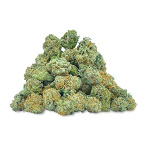 Indica Relax Roll