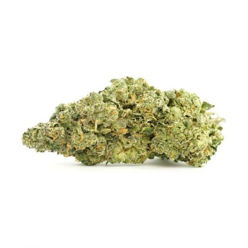 Girl Scout Cookies