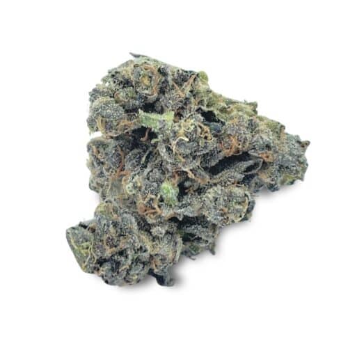 Grape 98 Indica