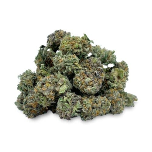 Mint Rozé Indica