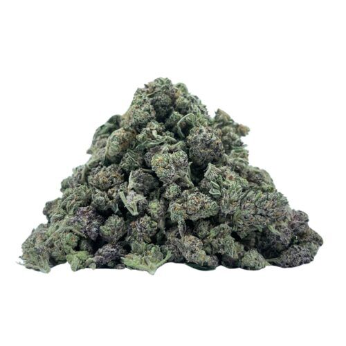 Pink Star Indica