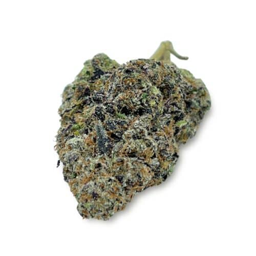 Lemon Burst