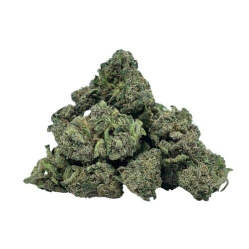 Iced Widow Bulk