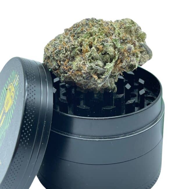 Bold THC Strain
