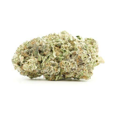 Fruity Wax Indica