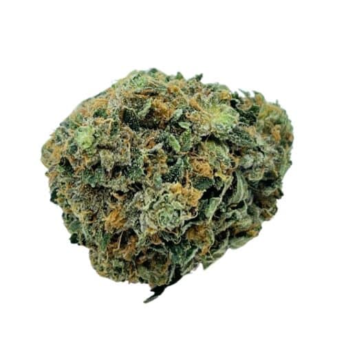 Grape Pie Wax