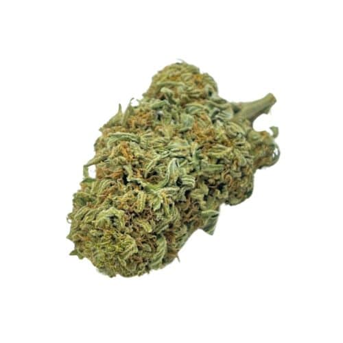 Amnesia Haze Caviar
