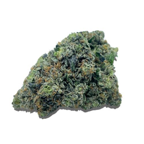 Super Pink Indica