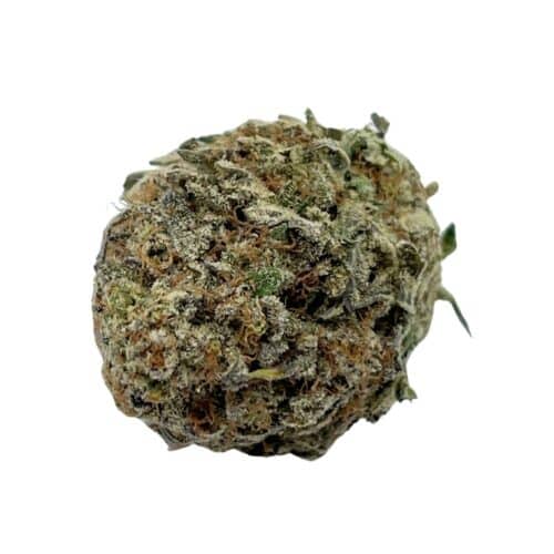 Indica Donuts