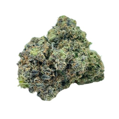 Pink Rockstar Bud