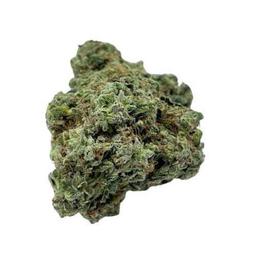 Gary Payton Flower